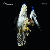 Courteeners - Falcon