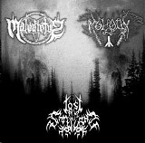 Moloch - Maledictvs / Moloch / Lost in the Shadows