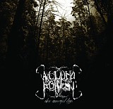 A Cloud Forest - These Mournful Days