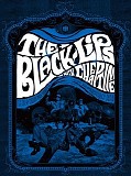 Black Lips - Live at Third Man Records