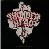 Thunderhead - Busted At The Border