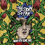 The Story So Far - What You Don't See