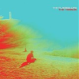 Flaming Lips - The Terror