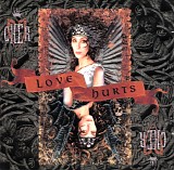 Cher - Love Hurts