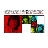 David Cassidy & The Partridge Family - Could It Be Forever... The Greatest Hits