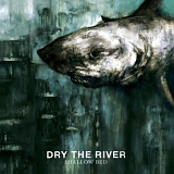 Dry the River - Shallow Bed