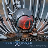 Thought Chamber - Angular Perceptions