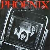 Phoenix - In Full View