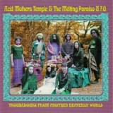 Acid Mothers Temple & The Melting Paraiso UFO - Troubadours From Another Heavenly World