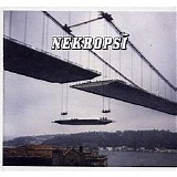 Nekropsi - Nekropsi