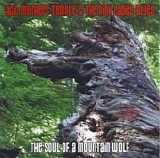 Acid Mothers Temple & The Pink Ladies Blues - The Soul Of A Mountain Wolf