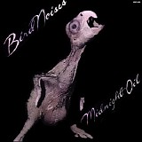 Midnight Oil - Bird Noises