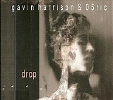 Gavin Harrison & 05Ric - Drop