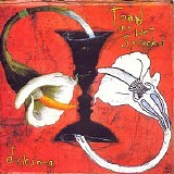 Toad The Wet Sprocket - Dulcinea