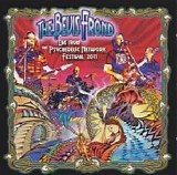 Bevis Frond - Live From The Psychedelic Network Festival (Disc 1)