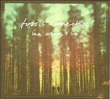 Fossil Collective - Tell Where I Lie (Bonus Track Version)