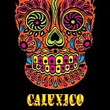 Calexico - Live In Nuremberg