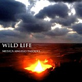 Angelo Talocci - Wild Life