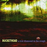 Buckethead - A Real Diamond In The Rough