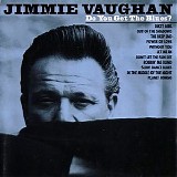 Jimmie Vaughan - Do You Get The Blues?