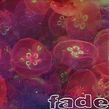 Fade - Fade