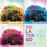 Yo La Tengo - Ohm