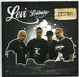 Levi Featuring Lethbridge - Destiny