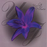 Yolanda Johnson - Violet Flower