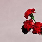 John Legend - Love in the Future (Deluxe Edition)