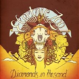 Electric Zoo - Diamonds in the Sand