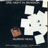 Murray Head - One Night In Bangkok / Merano