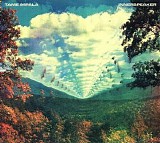 Tame Impala - Innerspeaker