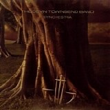 Devin Townsend - Synchestra