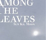 Sun Kil Moon - Among The Leaves