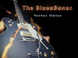 The BluesBones - Voodoo Guitar