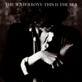 The Waterboys - This Is The Sea [Disc 2]