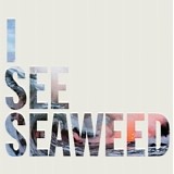 The Drones - I See Seaweed