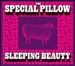 The Special Pillow - Sleeping Beauty