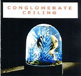 Steve Thomsen - Conglomerate Ceiling