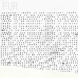 Fur - Image on the Reverse