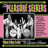 Pleasure Seekers - What A Way To Die