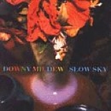 Downy Mildew - Slow Sky