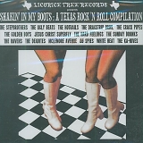 VARIOUS ARTISTS - Shakin' in My Boots:a Texas Rock 'N Roll Compilation