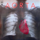 Aorta - Aorta