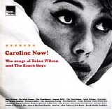 Various artists - Caroline Now! The Songs Of Brian Wilson And The Beach Boys