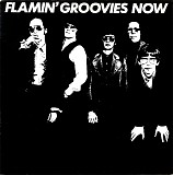 The Flamin' Groovies - Now