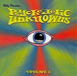 Various artists - Psychedelic Unknowns, Vol. 5