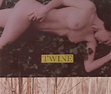 Twine - Twine