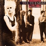 Til Tuesday - Welcome Home