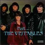 The Vejtables - Feel...the Vejtables